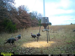 Property photo 60 - LAND AUCTION - 160+/-ACRES & WIND ENERGY OFFERED IN 4 TRACTS IN OKLAHOMA