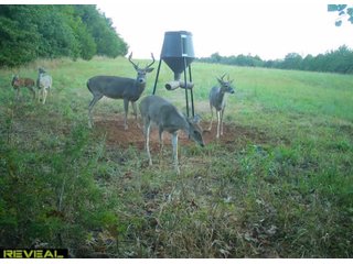 Property photo 61 - LAND AUCTION - 160+/-ACRES & WIND ENERGY OFFERED IN 4 TRACTS IN OKLAHOMA