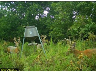 Property photo 63 - LAND AUCTION - 160+/-ACRES & WIND ENERGY OFFERED IN 4 TRACTS IN OKLAHOMA