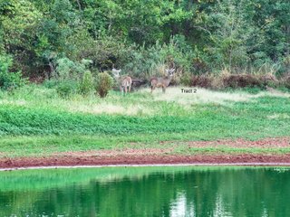 Property photo 15 - LAND AUCTION - 160+/-ACRES & WIND ENERGY OFFERED IN 4 TRACTS IN OKLAHOMA