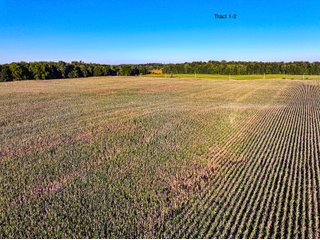 Property photo 10 - FARMLAND AUCTION - 77+/-ACRES OFFERED IN 4 TRACTS IN NOBLE COUNTY, INDIANA