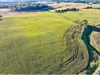 Property photo 15 - FARMLAND AUCTION - 77+/-ACRES OFFERED IN 4 TRACTS IN NOBLE COUNTY, INDIANA