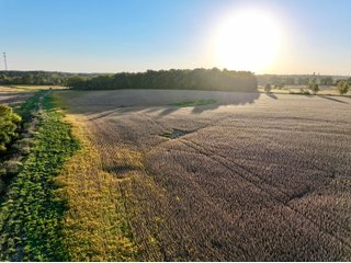 Property photo 7 - FARMLAND AUCTION - 73+/-ACRES OFFERED IN 3 TRACTS IN DEKALB COUNTY, INDIANA