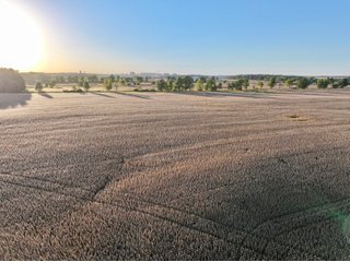 Property photo 6 - FARMLAND AUCTION - 73+/-ACRES OFFERED IN 3 TRACTS IN DEKALB COUNTY, INDIANA