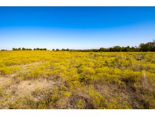 Property photo 14 - LAKE McMURTRY TROPHY WHITETAIL, RECREATIONAL LAND & PRODUCING MINERALS AUCTION