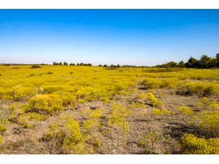 Property photo 13 - LAKE McMURTRY TROPHY WHITETAIL, RECREATIONAL LAND & PRODUCING MINERALS AUCTION