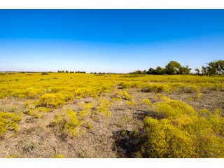 Property photo 12 - LAKE McMURTRY TROPHY WHITETAIL, RECREATIONAL LAND & PRODUCING MINERALS AUCTION
