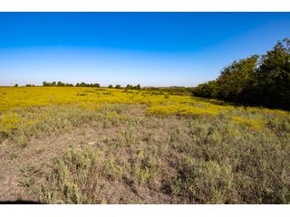 Property photo 11 - LAKE McMURTRY TROPHY WHITETAIL, RECREATIONAL LAND & PRODUCING MINERALS AUCTION