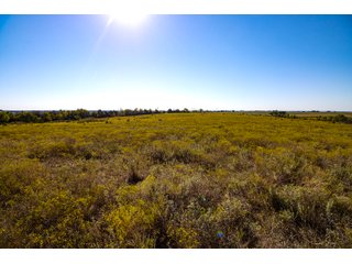 Property photo 10 - LAKE McMURTRY TROPHY WHITETAIL, RECREATIONAL LAND & PRODUCING MINERALS AUCTION