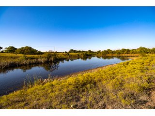 Property photo 24 - LAKE McMURTRY TROPHY WHITETAIL, RECREATIONAL LAND & PRODUCING MINERALS AUCTION