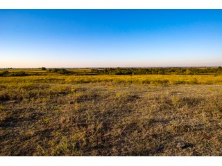 Property photo 26 - LAKE McMURTRY TROPHY WHITETAIL, RECREATIONAL LAND & PRODUCING MINERALS AUCTION