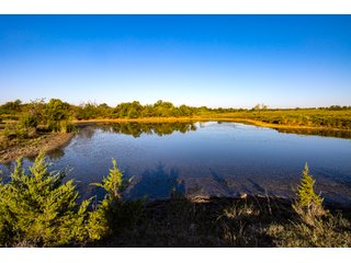 Property photo 25 - LAKE McMURTRY TROPHY WHITETAIL, RECREATIONAL LAND & PRODUCING MINERALS AUCTION