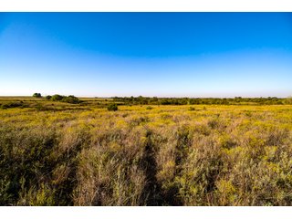 Property photo 27 - LAKE McMURTRY TROPHY WHITETAIL, RECREATIONAL LAND & PRODUCING MINERALS AUCTION