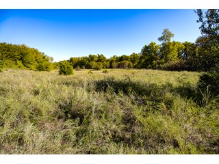 Property photo 31 - LAKE McMURTRY TROPHY WHITETAIL, RECREATIONAL LAND & PRODUCING MINERALS AUCTION