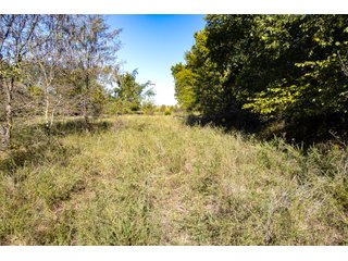 Property photo 32 - LAKE McMURTRY TROPHY WHITETAIL, RECREATIONAL LAND & PRODUCING MINERALS AUCTION