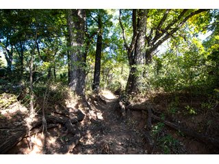 Property photo 38 - LAKE McMURTRY TROPHY WHITETAIL, RECREATIONAL LAND & PRODUCING MINERALS AUCTION