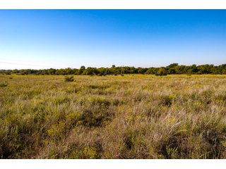 Property photo 42 - LAKE McMURTRY TROPHY WHITETAIL, RECREATIONAL LAND & PRODUCING MINERALS AUCTION