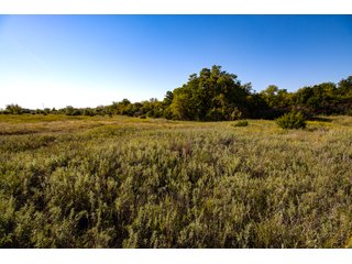 Property photo 44 - LAKE McMURTRY TROPHY WHITETAIL, RECREATIONAL LAND & PRODUCING MINERALS AUCTION