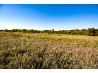 Property photo 43 - LAKE McMURTRY TROPHY WHITETAIL, RECREATIONAL LAND & PRODUCING MINERALS AUCTION