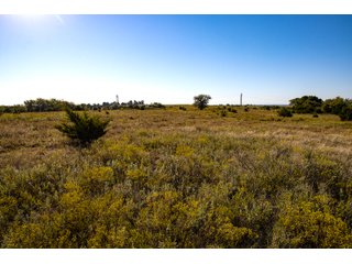 Property photo 49 - LAKE McMURTRY TROPHY WHITETAIL, RECREATIONAL LAND & PRODUCING MINERALS AUCTION