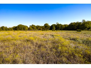 Property photo 51 - LAKE McMURTRY TROPHY WHITETAIL, RECREATIONAL LAND & PRODUCING MINERALS AUCTION