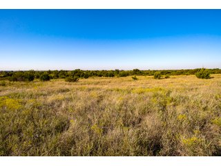 Property photo 50 - LAKE McMURTRY TROPHY WHITETAIL, RECREATIONAL LAND & PRODUCING MINERALS AUCTION