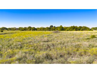 Property photo 55 - LAKE McMURTRY TROPHY WHITETAIL, RECREATIONAL LAND & PRODUCING MINERALS AUCTION