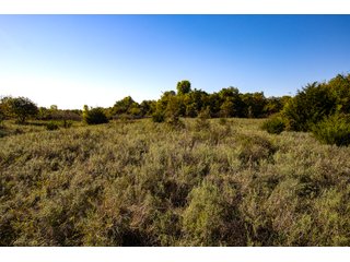 Property photo 58 - LAKE McMURTRY TROPHY WHITETAIL, RECREATIONAL LAND & PRODUCING MINERALS AUCTION