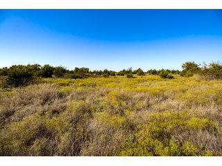 Property photo 59 - LAKE McMURTRY TROPHY WHITETAIL, RECREATIONAL LAND & PRODUCING MINERALS AUCTION