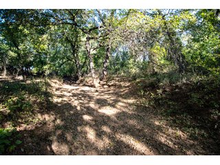 Property photo 61 - LAKE McMURTRY TROPHY WHITETAIL, RECREATIONAL LAND & PRODUCING MINERALS AUCTION