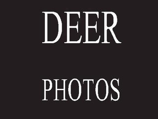 Property photo 62 - LAKE McMURTRY TROPHY WHITETAIL, RECREATIONAL LAND & PRODUCING MINERALS AUCTION