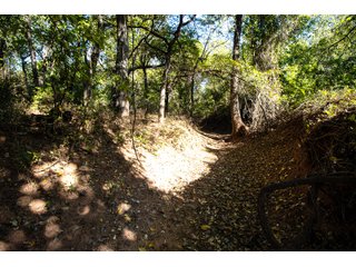 Property photo 6 - LAKE McMURTRY TROPHY WHITETAIL, RECREATIONAL LAND & PRODUCING MINERALS AUCTION