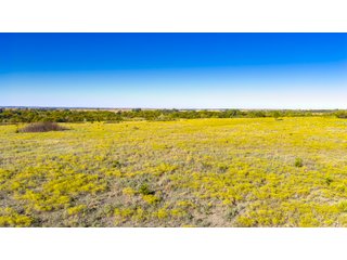 Property photo 19 - LAKE McMURTRY TROPHY WHITETAIL, RECREATIONAL LAND & PRODUCING MINERALS AUCTION