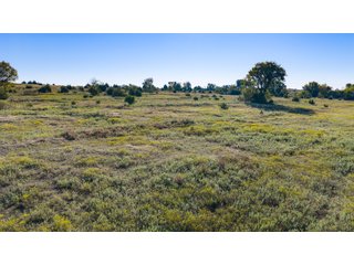 Property photo 56 - LAKE McMURTRY TROPHY WHITETAIL, RECREATIONAL LAND & PRODUCING MINERALS AUCTION