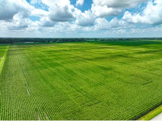 Property photo 26 - FARMLAND AUCTION - 241.5+/-ACRES OFFERED IN 4 TRACTS IN SULLIVAN COUNTY, INDIANA