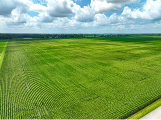 Property photo 25 - FARMLAND AUCTION - 241.5+/-ACRES OFFERED IN 4 TRACTS IN SULLIVAN COUNTY, INDIANA