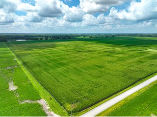 Property photo 24 - FARMLAND AUCTION - 241.5+/-ACRES OFFERED IN 4 TRACTS IN SULLIVAN COUNTY, INDIANA