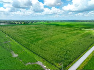 Property photo 23 - FARMLAND AUCTION - 241.5+/-ACRES OFFERED IN 4 TRACTS IN SULLIVAN COUNTY, INDIANA