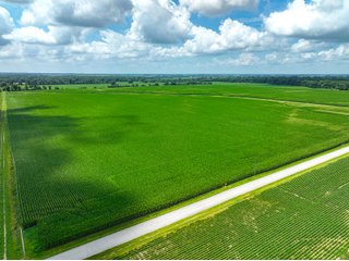 Property photo 22 - FARMLAND AUCTION - 241.5+/-ACRES OFFERED IN 4 TRACTS IN SULLIVAN COUNTY, INDIANA