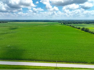 Property photo 19 - FARMLAND AUCTION - 241.5+/-ACRES OFFERED IN 4 TRACTS IN SULLIVAN COUNTY, INDIANA