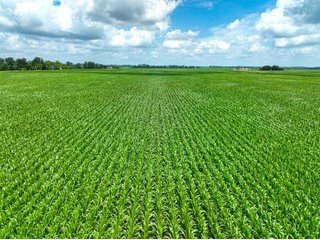 Property photo 40 - FARMLAND AUCTION - 241.5+/-ACRES OFFERED IN 4 TRACTS IN SULLIVAN COUNTY, INDIANA