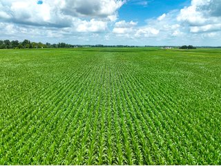 Property photo 39 - FARMLAND AUCTION - 241.5+/-ACRES OFFERED IN 4 TRACTS IN SULLIVAN COUNTY, INDIANA