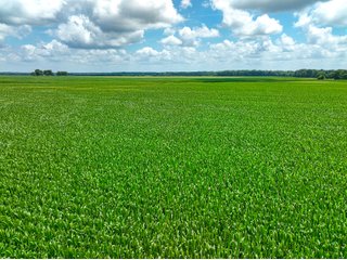 Property photo 38 - FARMLAND AUCTION - 241.5+/-ACRES OFFERED IN 4 TRACTS IN SULLIVAN COUNTY, INDIANA