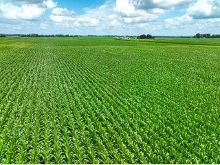 Property photo 37 - FARMLAND AUCTION - 241.5+/-ACRES OFFERED IN 4 TRACTS IN SULLIVAN COUNTY, INDIANA