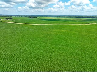 Property photo 18 - FARMLAND AUCTION - 241.5+/-ACRES OFFERED IN 4 TRACTS IN SULLIVAN COUNTY, INDIANA
