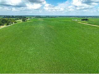 Property photo 17 - FARMLAND AUCTION - 241.5+/-ACRES OFFERED IN 4 TRACTS IN SULLIVAN COUNTY, INDIANA
