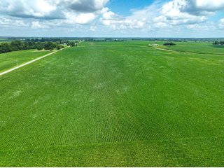 Property photo 16 - FARMLAND AUCTION - 241.5+/-ACRES OFFERED IN 4 TRACTS IN SULLIVAN COUNTY, INDIANA