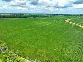 Property photo 15 - FARMLAND AUCTION - 241.5+/-ACRES OFFERED IN 4 TRACTS IN SULLIVAN COUNTY, INDIANA
