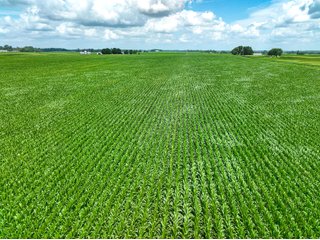 Property photo 36 - FARMLAND AUCTION - 241.5+/-ACRES OFFERED IN 4 TRACTS IN SULLIVAN COUNTY, INDIANA