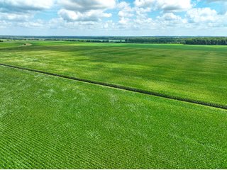 Property photo 35 - FARMLAND AUCTION - 241.5+/-ACRES OFFERED IN 4 TRACTS IN SULLIVAN COUNTY, INDIANA
